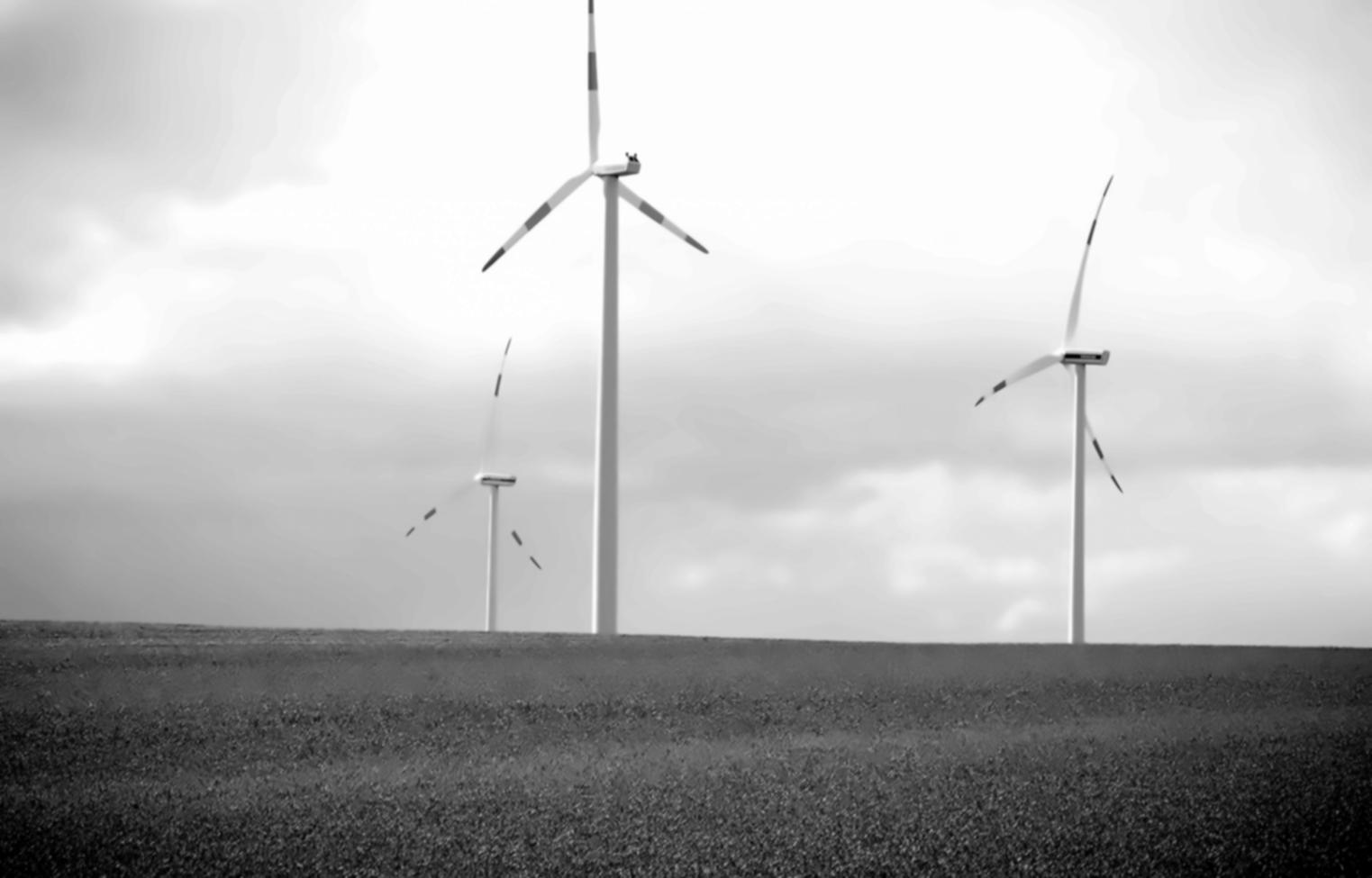 Étudiants suivant une formation en énergies renouvelables